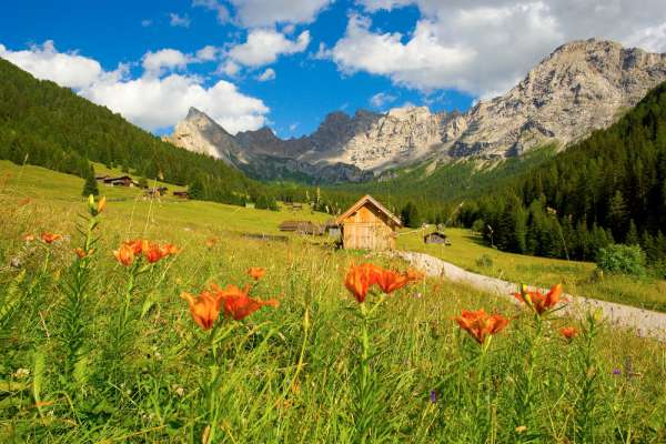media/k2/galleries/5446/thumbs/R_VSanNicolo002_N_ANGELI_238AptFassa.jpg
