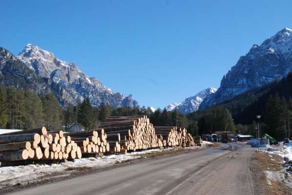 media/k2/galleries/10463/thumbs/lignanmareo.jpg
