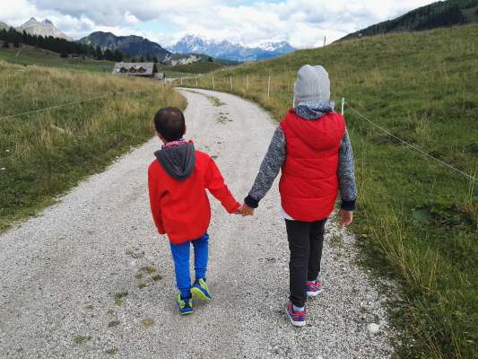 media/k2/galleries/10935/thumbs/Alpine_Butterfly_bec.jpg