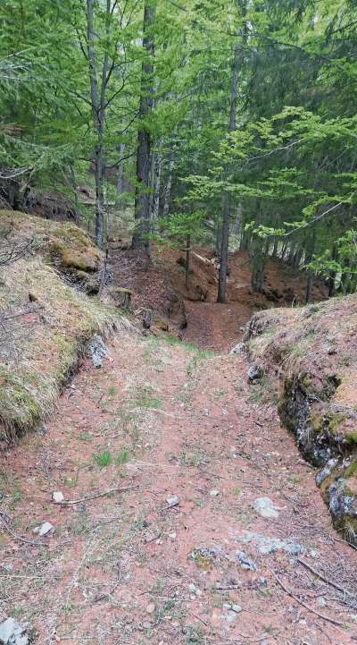 El troi noo de Sote Crepa el pasa anche par 'na vecia strada de bosco, intrà ra piantes de espora e i laresc, ignante de ruà a vardà fora da ra funestra, daerta su ra ares sora el Menighel.
