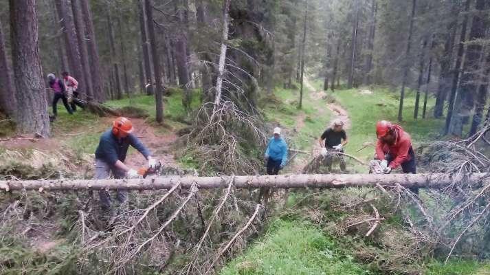 Vorentie del Cai de Anpezo aduna co i guardies de ra Regoles, al laoro par netà fora un troi da chel rejistro de schiante de 'l an pasà de outon.
