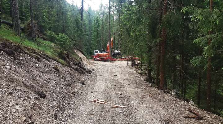 Sote chesta strada, inze 'l bosco de Fraina, core i fire de 'l eletrico da 132 k, intrà Auronzo e Anpezo, betude śo par i Canpionate del mondo de schie.
