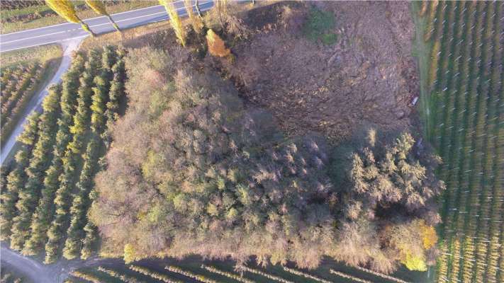 Le biotop da Naturns dal alt. foto: Provinzia BZ
