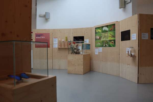 media/k2/galleries/13230/thumbs/IMG_0453.jpg