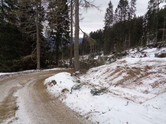 media/k2/galleries/14681/thumbs/strada_bosch_Mont_Vich.jpg