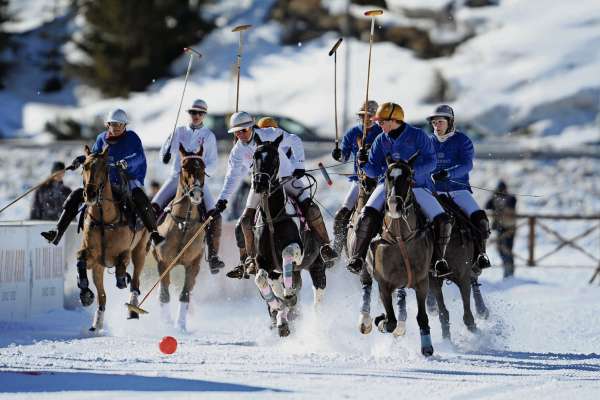 El polo sul gnee, ón e caal aduna. In Anpezo 'l é 'na storia da pi de trenta ane.
