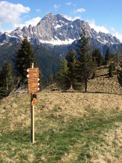 Ntei agn passai la Lia da Mont l à fat n gran laor per mete ju tabele sui trioi parceche la jent no la se parde e parceche no se parde i toponimi ladign dei luoch.
