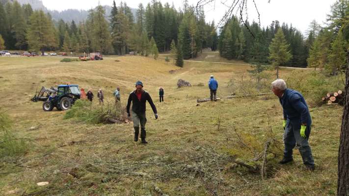 Laore su ‘na monte, da fei curadizo: lourantes de ra Regoles e vorentie aduna, par el ben de dute.
