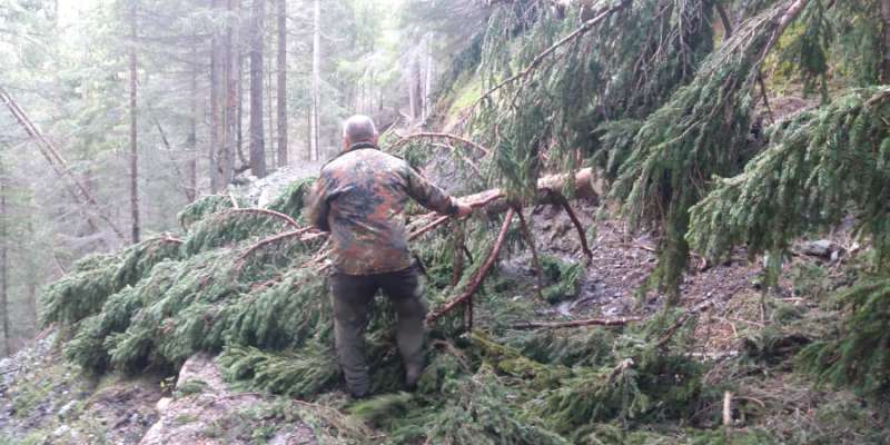 I acompagnadous de ebike al laour per deliberé da le plánte la Strada de la Vëna.
