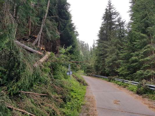 Les tempestes fej tres plü dann a bosc y frabiches – gnanca nüsc raiuns dolomitics ne romagn sconá da caji meteorologics straordinars.
