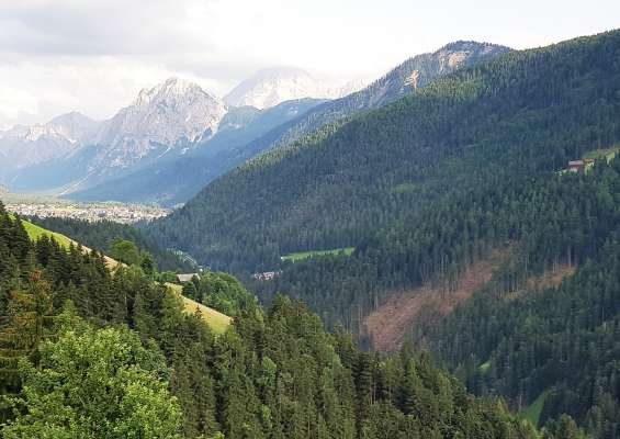 media/k2/galleries/16486/thumbs/frogora_iaco.jpg