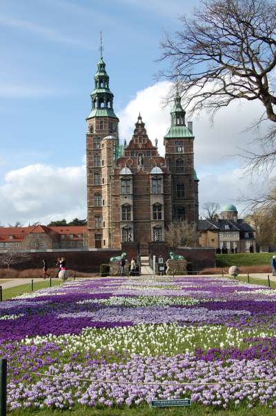 Cole e cole de marie bience e viola fioride al ciastel de Rosenborg, n Danimarca.
