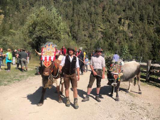 I famëis David Peslalz y Nicola Pagan cun les vaces dala gherlanda. (© Willy Hochwieser)
