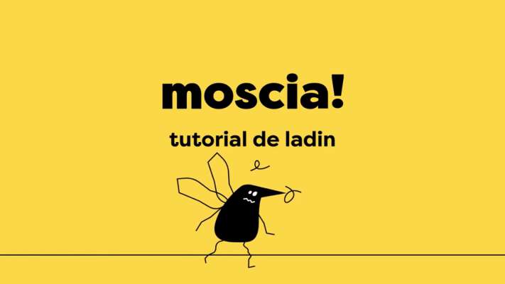 media/k2/galleries/17520/thumbs/Pian_Cultura_tutorial_Moscia.jpg