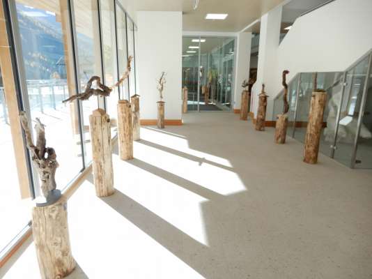media/k2/galleries/17669/thumbs/esposizion.jpg