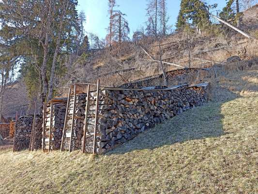 Aprovade le regole per chi che fesc le pile de legna sul tarén comunal.
