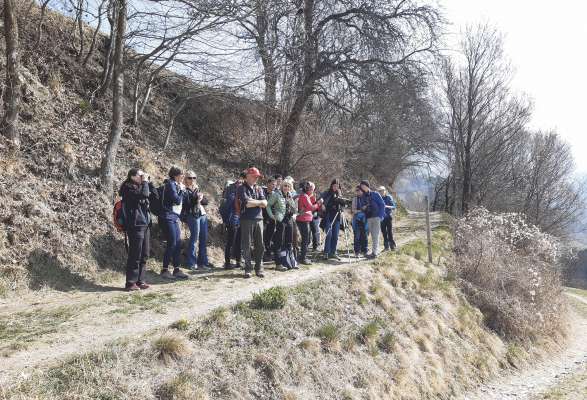 Na bela grupa se à abinà per ti cialé ala migrazion di uciei.
