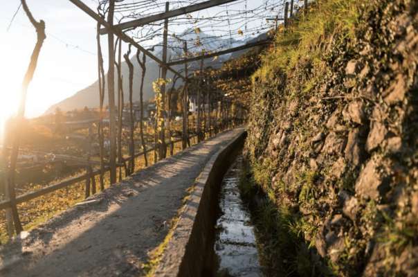 L’Ombolt á da sëgn inant la cometënza por dí olá oje les eghes de plöia nia ajiades o püch incuinades foto: IDM Südtirol-Alto Adige/Patrick Schwienbacher
