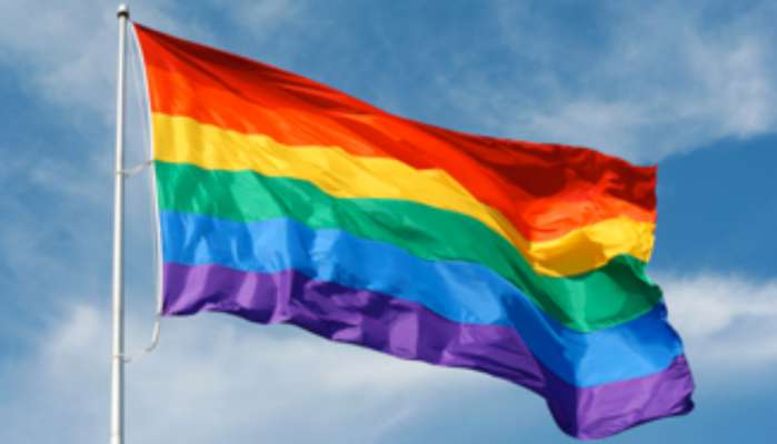 La bandiera de la comunità LGBTQIA+
