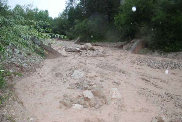 Roes y rogossies vëgn dant tres plü gonot. (Foto d’archif/La Usc di Ladins)
