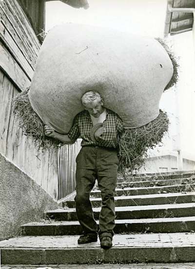 Fè l bacán vol dì fè fadia, ma almánco ncuoi no l é plu da porté sul ce l linzol dal fen.
