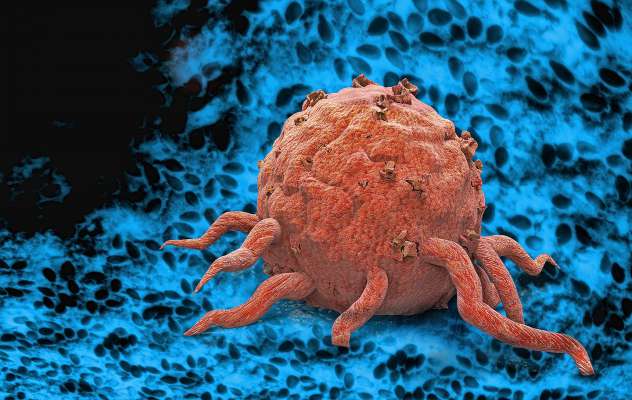 media/k2/galleries/21523/thumbs/cancer-cells-3d-illustration_web.jpg