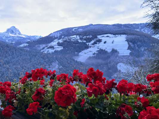 media/k2/galleries/21549/thumbs/IMG_3089.jpg