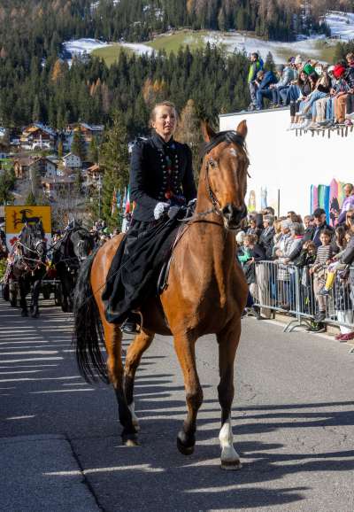 120 é i ciavai che á tut pert ala manifestaziun. 
