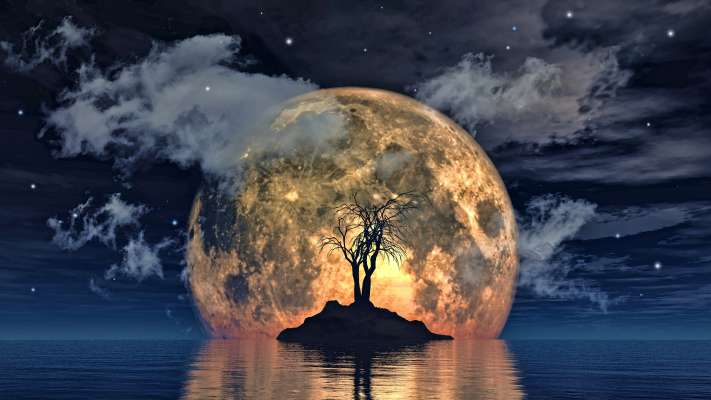 media/k2/galleries/21662/thumbs/spooky-tree-against-big-moon_web.jpg
