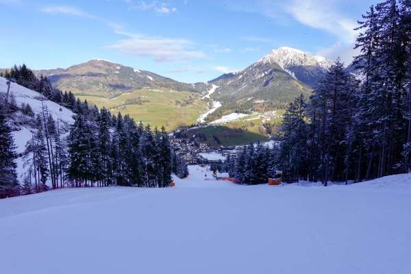 media/k2/galleries/22245/thumbs/tempraimundpromberger.jpg