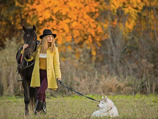 media/k2/galleries/22754/thumbs/girl-posing-with-horse-dog_web.jpg