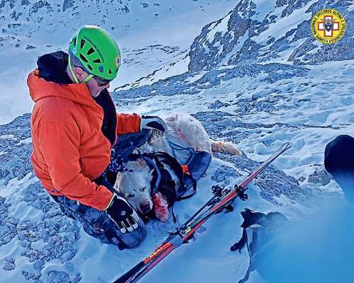 El cian Lucky, dià da i ome de el socorso in croda Cnsas de Anpezo, dapò che el s’à fato mal, su ra Tofana de Rozes.
