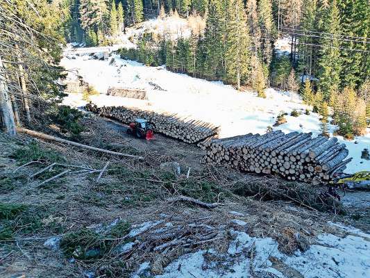 Un dei lotti de legnam laurai su da Paolo e sa fradel.
