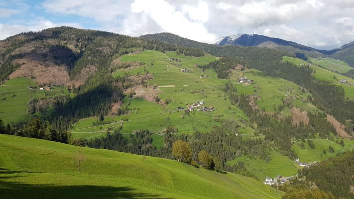 Rina, Pliscia, La Pli y Curt alda pro i raiuns de Südtirol definis "debli struturalmënter".
