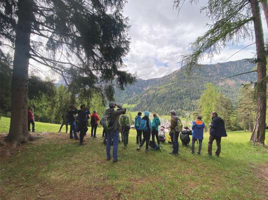 Na fotografia de grupa. For inò se àn fermà per ti cialé a vel’ ucel nteressant. Da tlo demez à vel’ fertunà udù l pirol.
