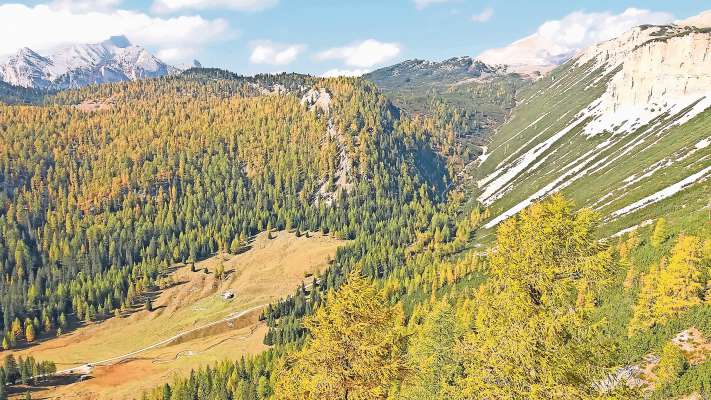 Un de i mile ciantoi de el Parco d’Anpezo: dal 1990 ‘l é ra Regoles che el fesc śì inaante polito.
