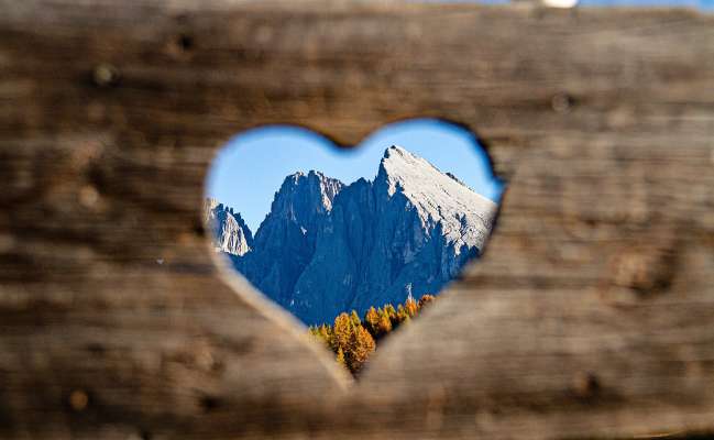 media/k2/galleries/25494/thumbs/selective-focus-shot-from-heart_web.jpg