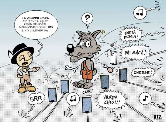 La caricatura dl'edema