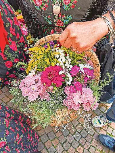 I colour dei ciof de pré e de chi sui gur­miei i se mesciáda come su nen pré.
