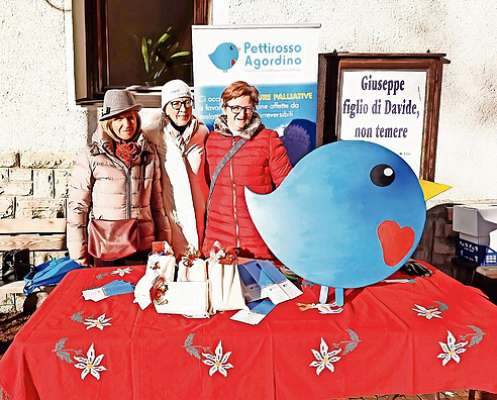 media/k2/galleries/28936/thumbs/pettirosso_agordino-Enhanced-SR_copy_foliet_web.jpg