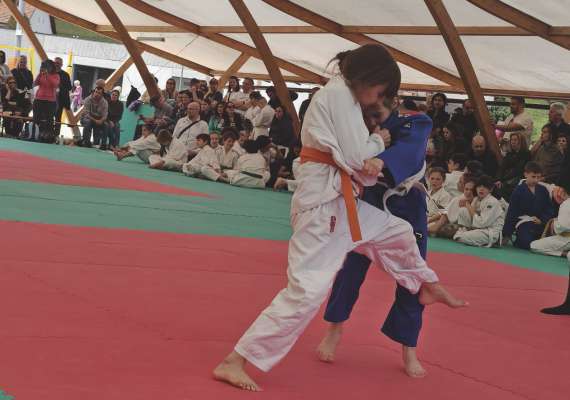 N azion, n iede alalergia, sun l tatami. 
