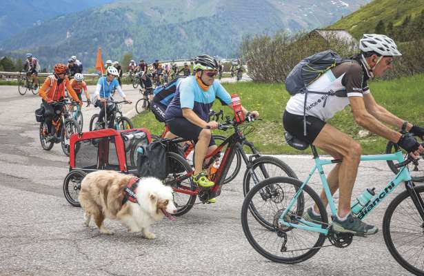 Sun doi rodes o cater giames, l fova lerch assé per duc. (Foto: Freddy Planinschek)
