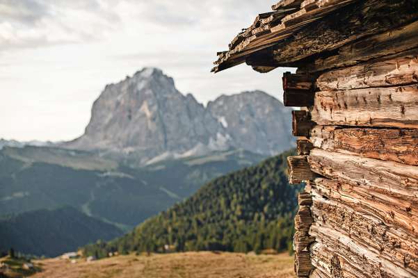 (Foto: Freepik.com)
