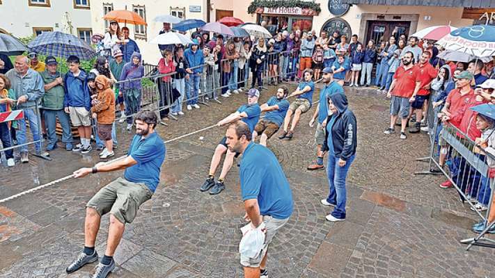 I mastinaze co ra gucia zeleste, outro che meśaneles, a tirà el sion.
