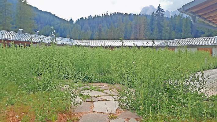 La foto manada ite da nen nost letor la mostra la situazion de la Malga da Ciastel«.
