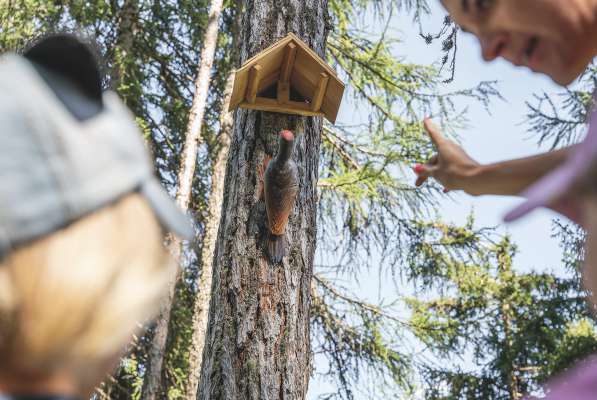 »Ert che s’la scibla« ie l moto di Uciei da Frëines. Daujin al troi iel for inò tofles cun vel’nfurmazion. FOTO de valgardena.it/

