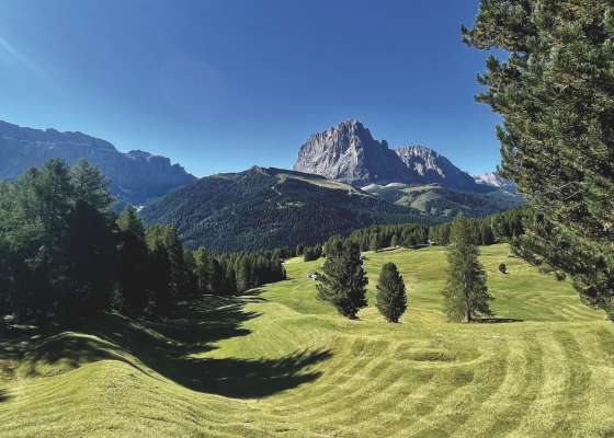 Per fertuna fova l’ultima doi enes de agost do la rata beles y n à pudù sië i prei da mont.
