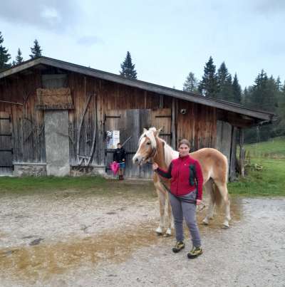 Inge Brunel tedant stalon.
