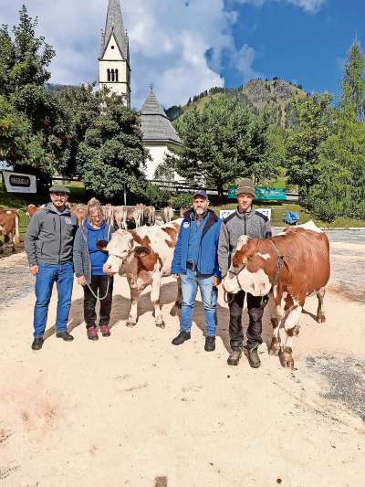 »Simba« e »Birke«, campionësse per la raza Pezada Rossa.
