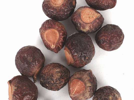 La cucià da lavé: n prudot naturel per lavé dantaldut guant da culëur.
